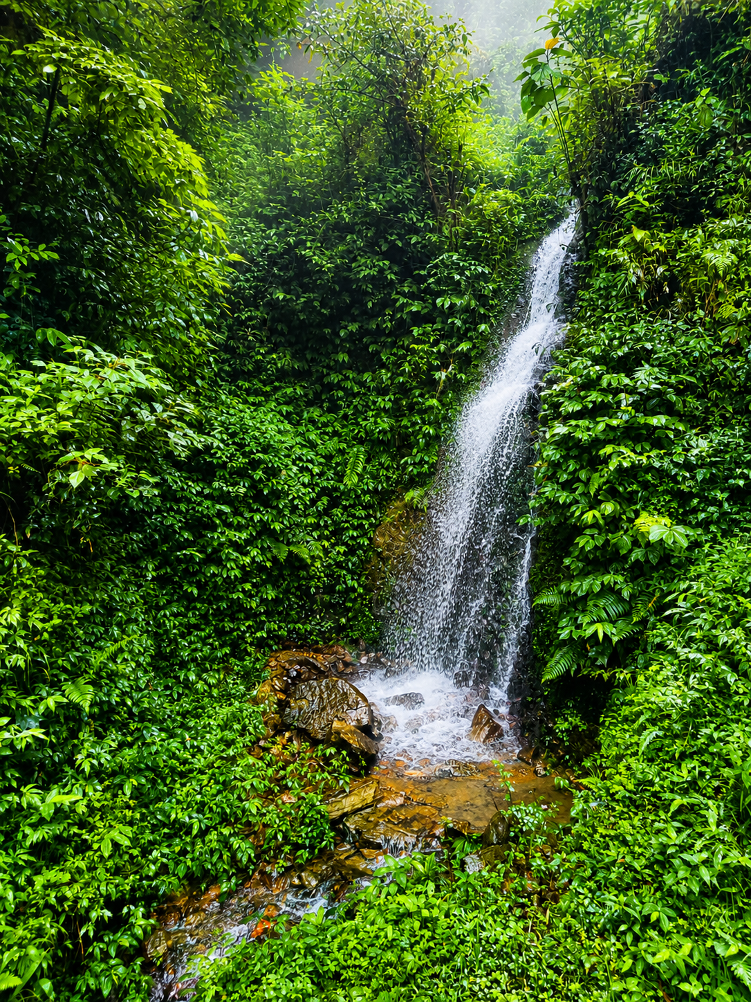 Hidden waterfall near Sunrise Eco Homestay
